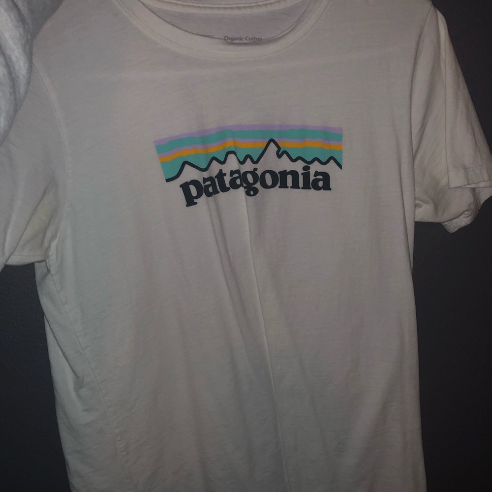 Patagonia T shirt